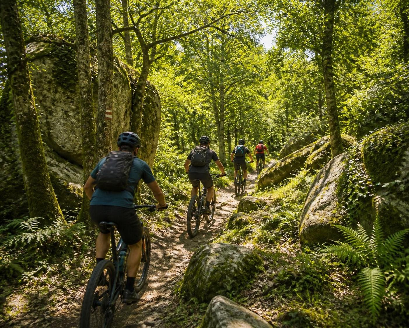découvrez le calendrier complet des randonnées vtt en bretagne cet été, avec des parcours adaptés à tous les niveaux pour profiter pleinement des paysages et sentiers de la région.